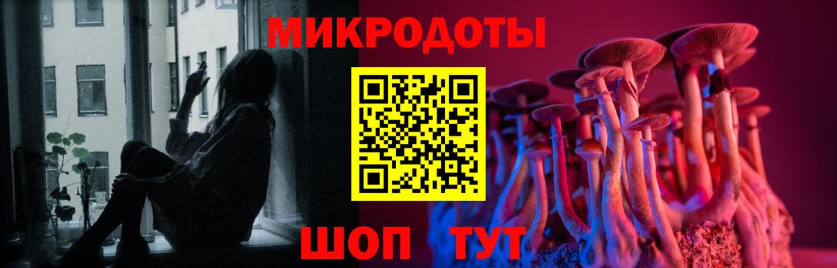Нерюнгри  закладка  Вход с VPN  Галлюциногенные грибы Magic Shrooms  Галлюциногенные грибы Magic Shrooms 